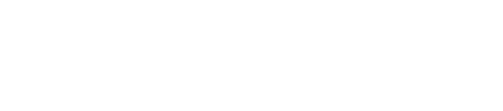 Polo ICT Piemonte